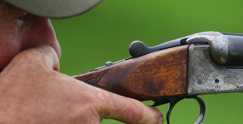 Весенний сезон охоты на пернатую дичь открывается в Беларуси Весенний сезон охоты на пернатую дичь открывается в Беларуси